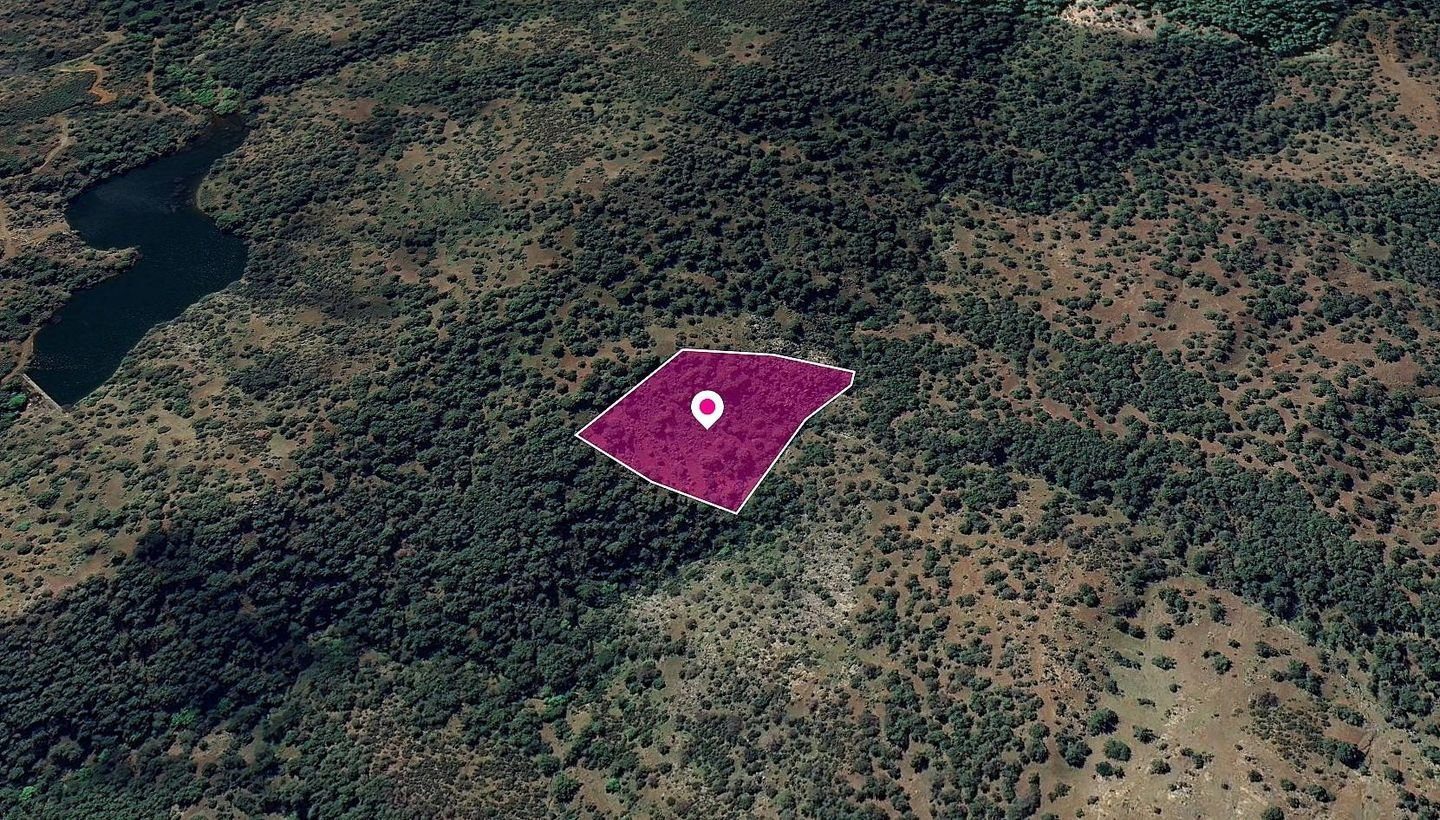 Agricultural Field in Pigenia, Nicosia