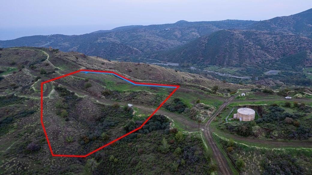 Shared agricultural field in Pano Pyrgos, Nicosia — photo 2