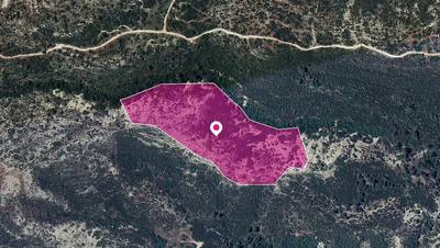 Agricultural Field in Platanisteia, Limassol thumbnail 1