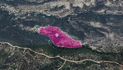 Agricultural Field in Platanisteia, Limassol thumbnail 2