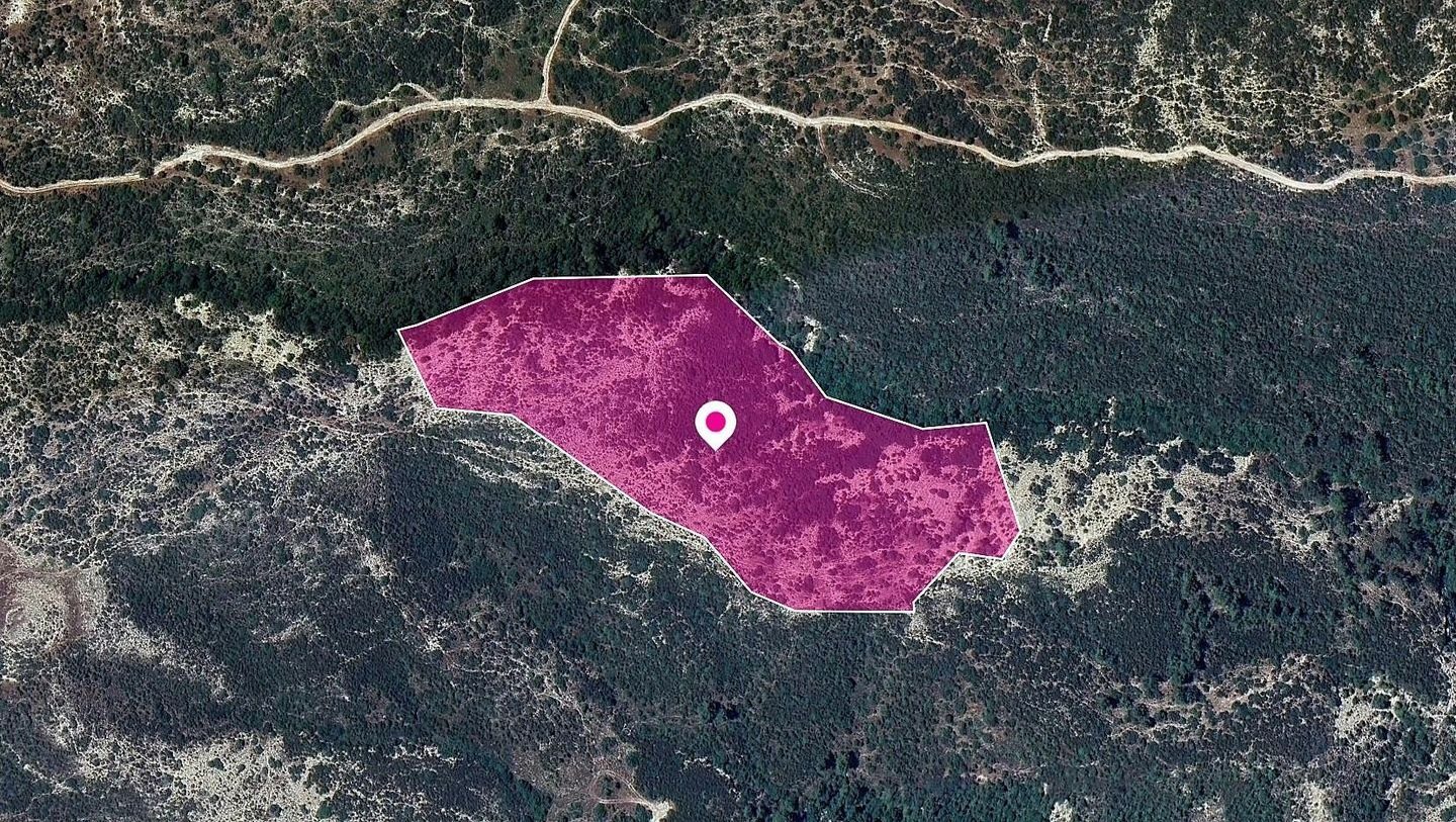 Field in Platanisteia Community, Limassol photo 1