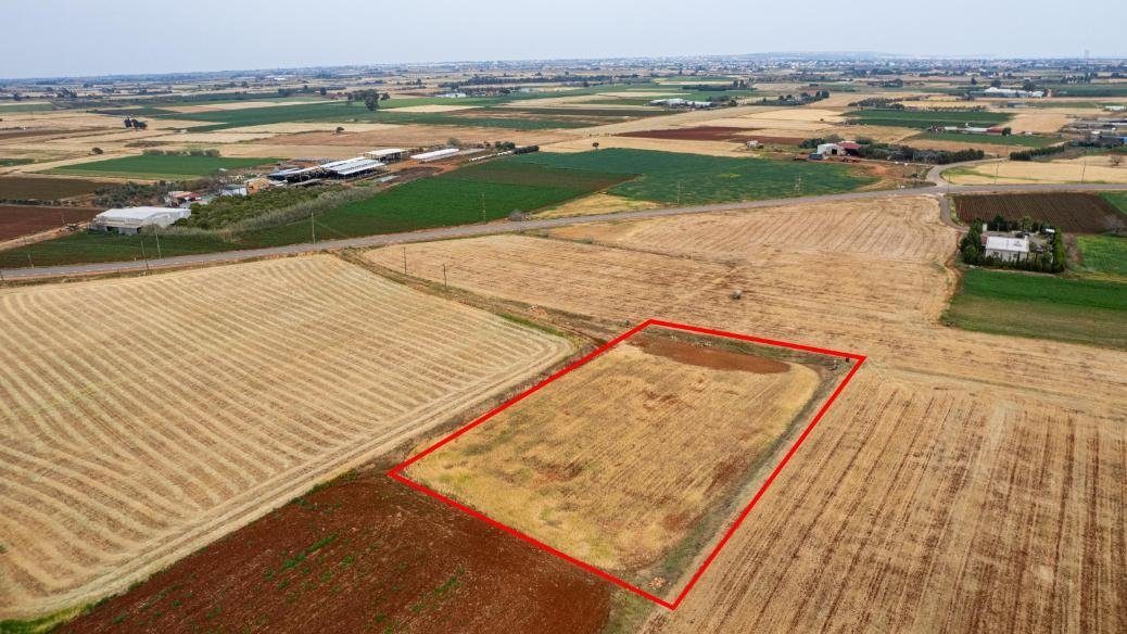 Agricultural field in Avgorou, Famagusta photo 3