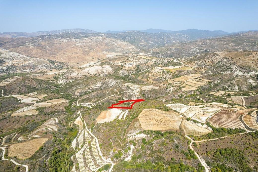 Field in Dora, Limassol photo 2