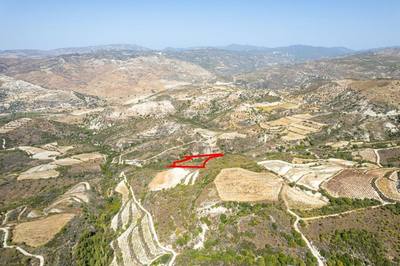 Field in Dora, Limassol thumbnail 2