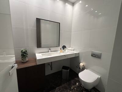 3 BR Unique Penthouse in Agia Triada, Limassol thumbnail 31