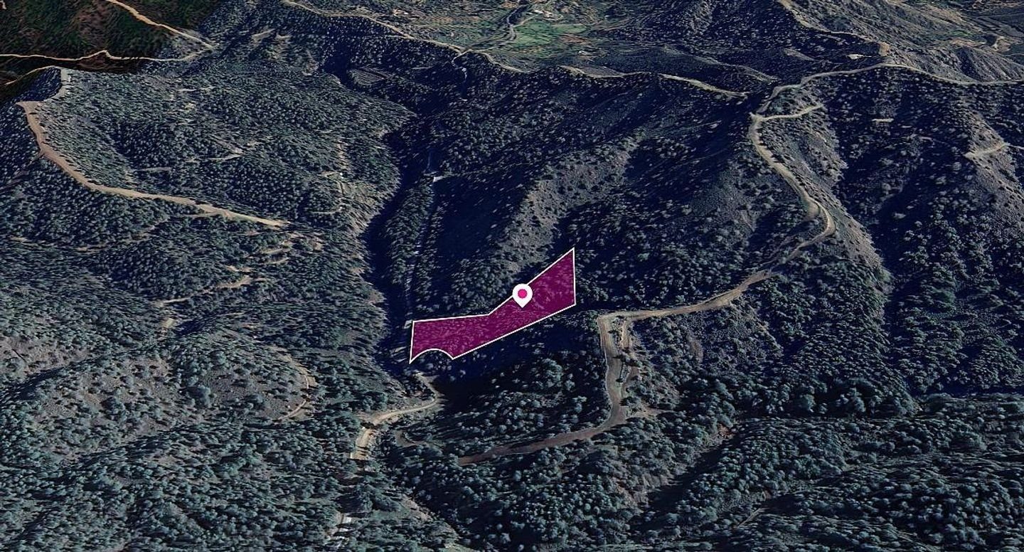 50% share of agricultural field in Kapedes, Nicosia photo 4
