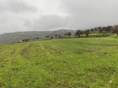 Shared residential field in Kelokedara, Paphos thumbnail 2