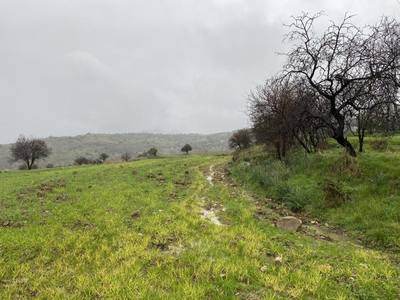 Shared residential field in Kelokedara, Paphos thumbnail 1