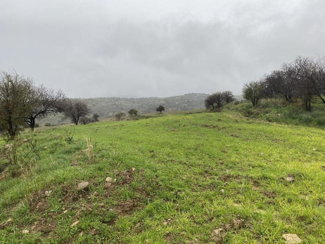 Shared residential field in Kelokedara, Paphos photo 4