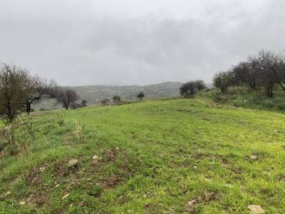 Shared residential field in Kelokedara, Paphos thumbnail 4