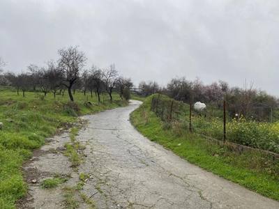 Shared residential field in Kelokedara, Paphos thumbnail 3