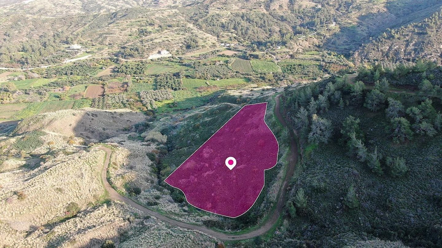 Residential field located in Pigenia, Nicosia photo 3