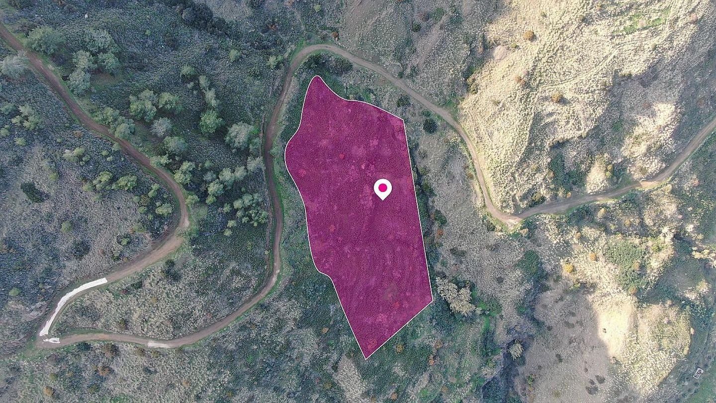 Residential field located in Pigenia, Nicosia photo 2