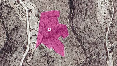 Agricultural Field in Kato Drys, Larnaca thumbnail 1