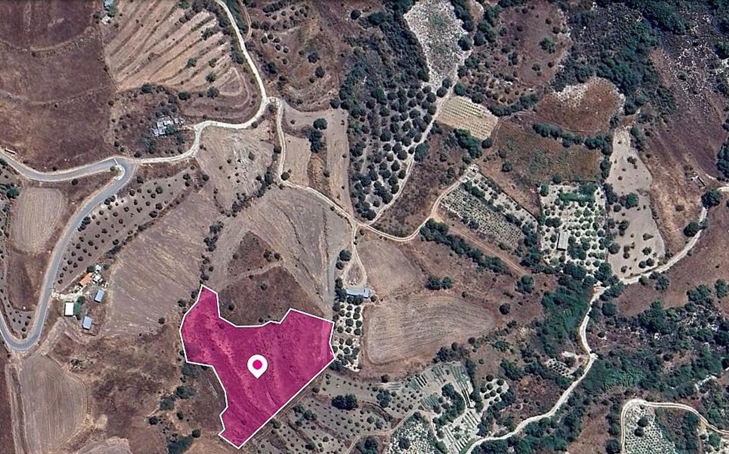 Agricultural field, Pano Panagia, Paphos photo 3