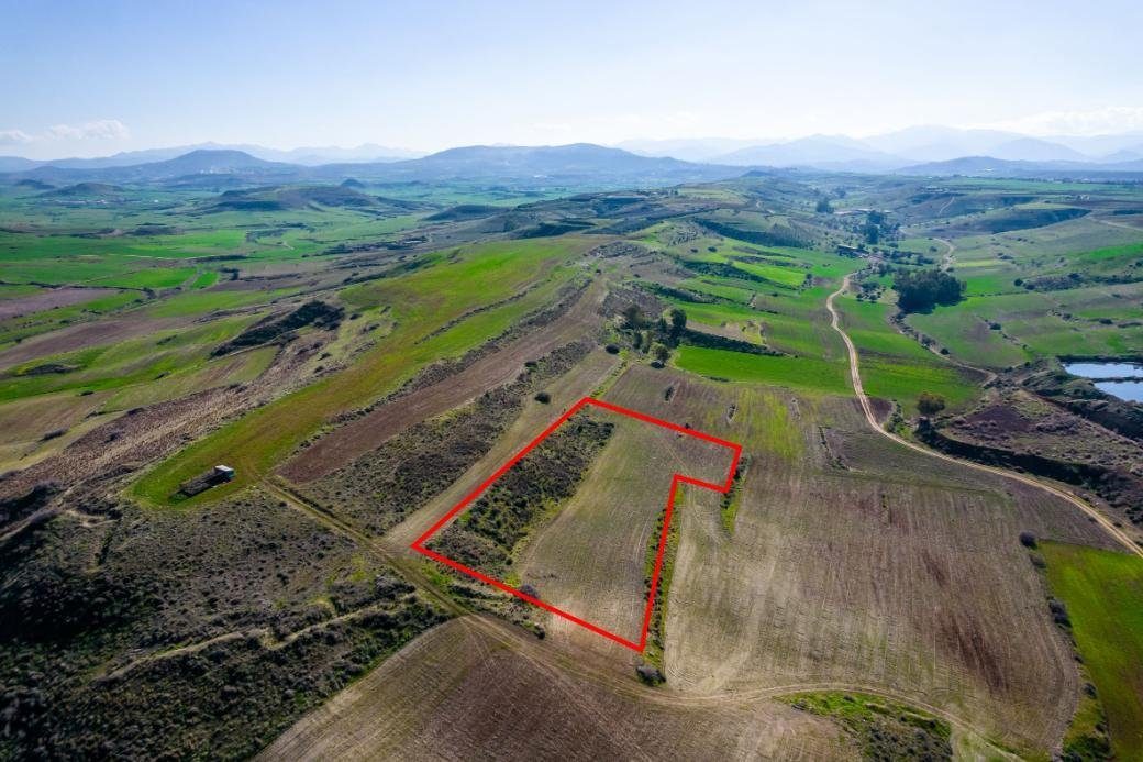 Field in Orounta, Nicosia photo 5