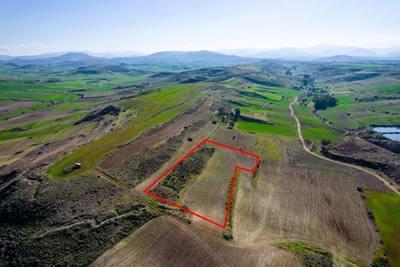 Field in Orounta, Nicosia thumbnail 5