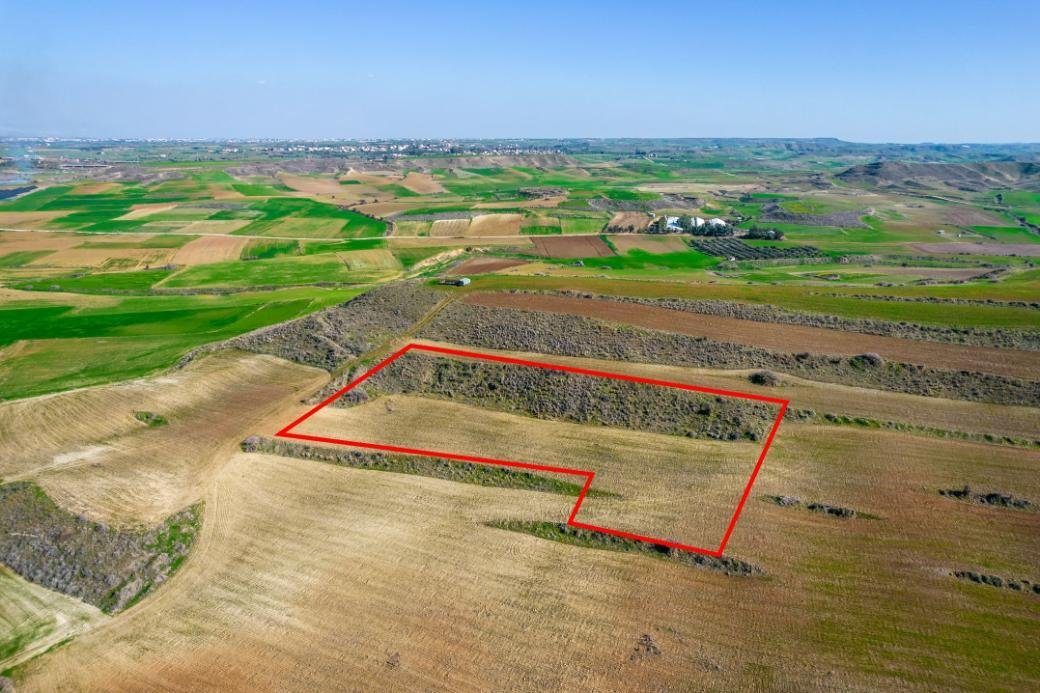 Field in Orounta, Nicosia photo 1