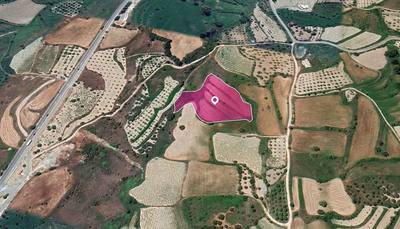 Agricultural Field in Theletra, Paphos thumbnail 1