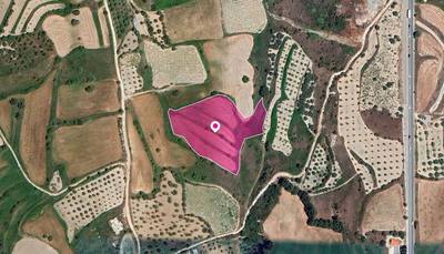 Agricultural Field in Theletra, Paphos thumbnail 3