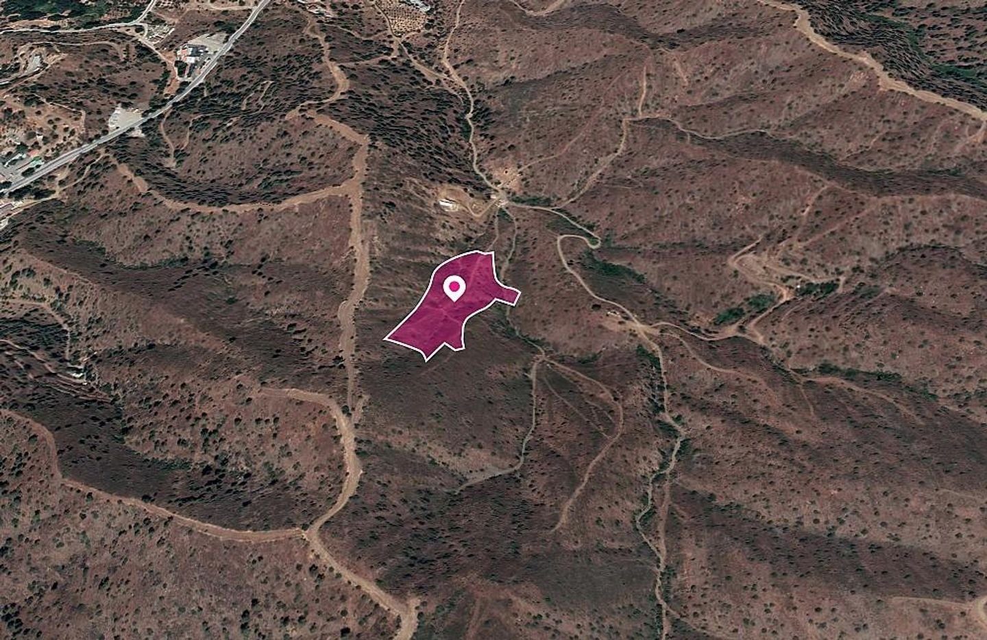 Special Protection Field in Evrychou, Nicosia photo 3