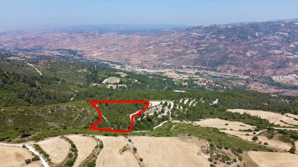Field in Prastio, Paphos photo 3