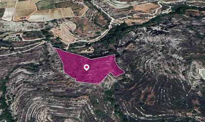 Field, Koilani, Limassol thumbnail 1