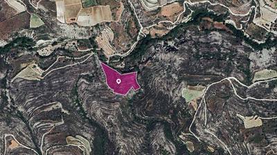 Field, Koilani, Limassol thumbnail 2