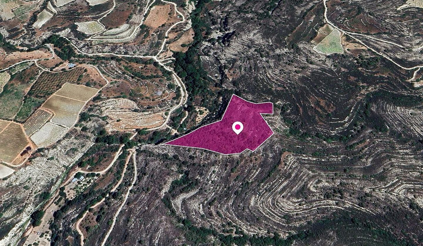 Field, Koilani, Limassol photo 3