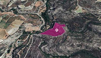 Field, Koilani, Limassol thumbnail 3