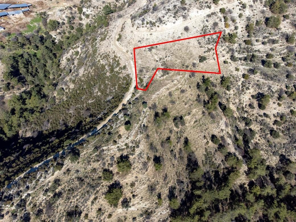 Field in Mousere, Paphos photo 2