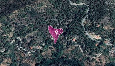 Shared Fields, Palaiomylos, Limassol thumbnail 2