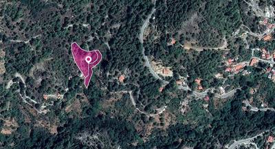 Shared Fields, Palaiomylos, Limassol thumbnail 1