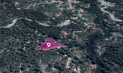 Shared Fields, Palaiomylos, Limassol thumbnail 3