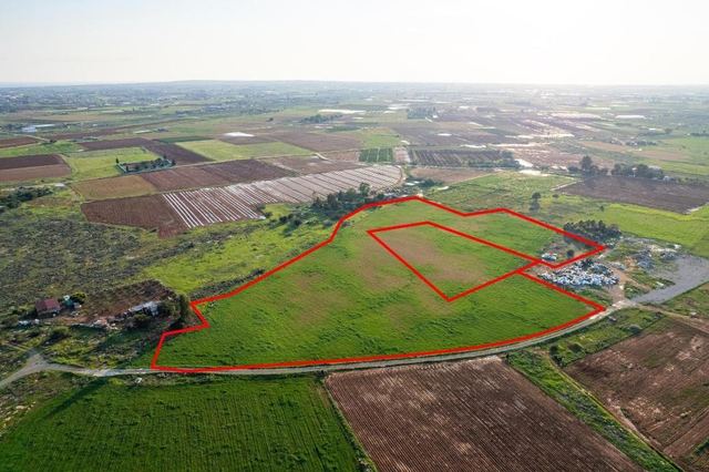 Shared agricultural fields in Frenaros, Famagusta