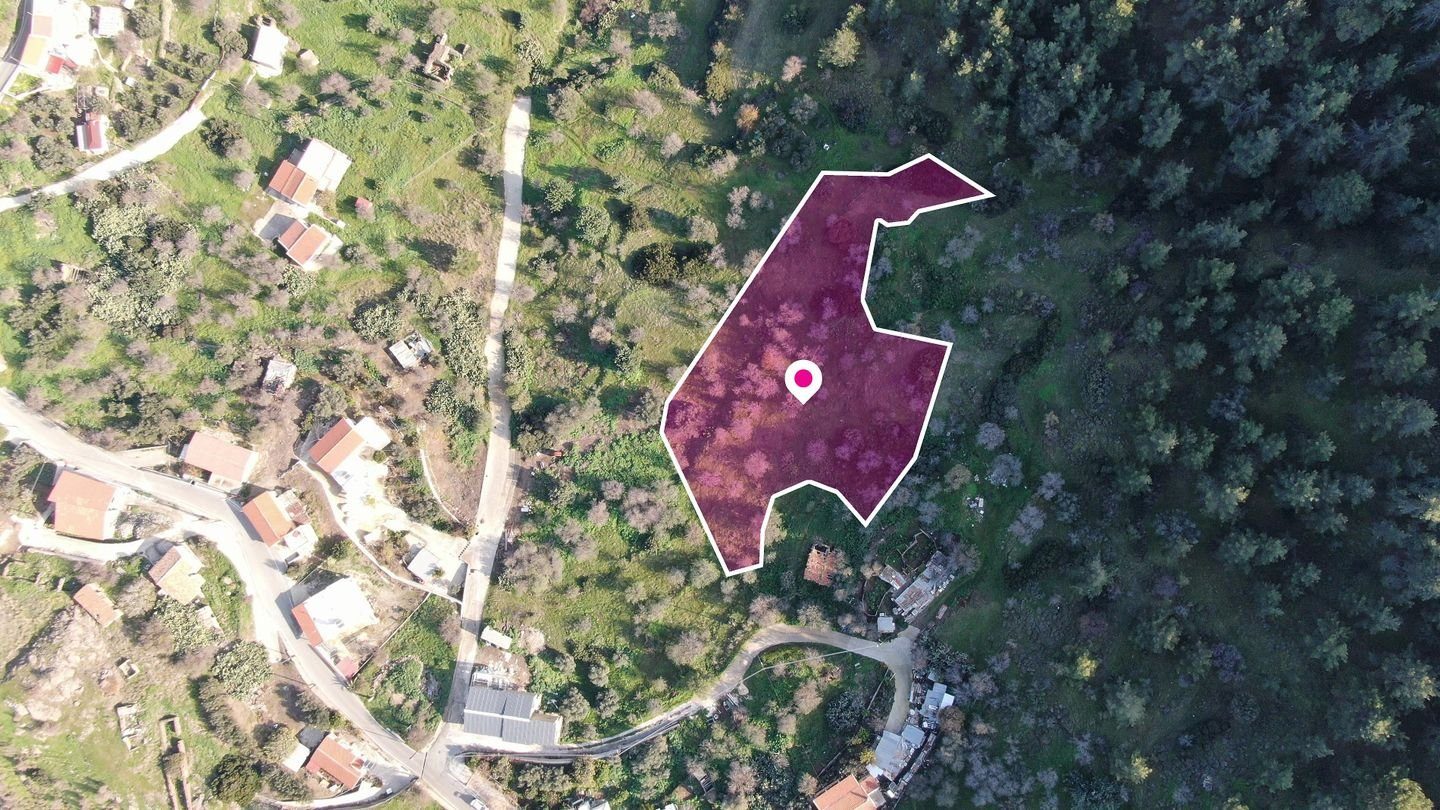 Residential field located in Pigenia, Nicosia photo 4