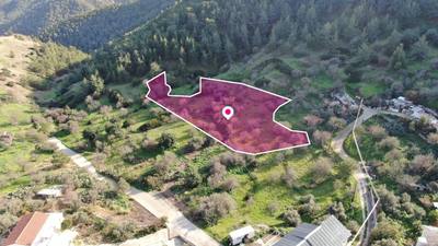 Residential field located in Pigenia, Nicosia thumbnail 2