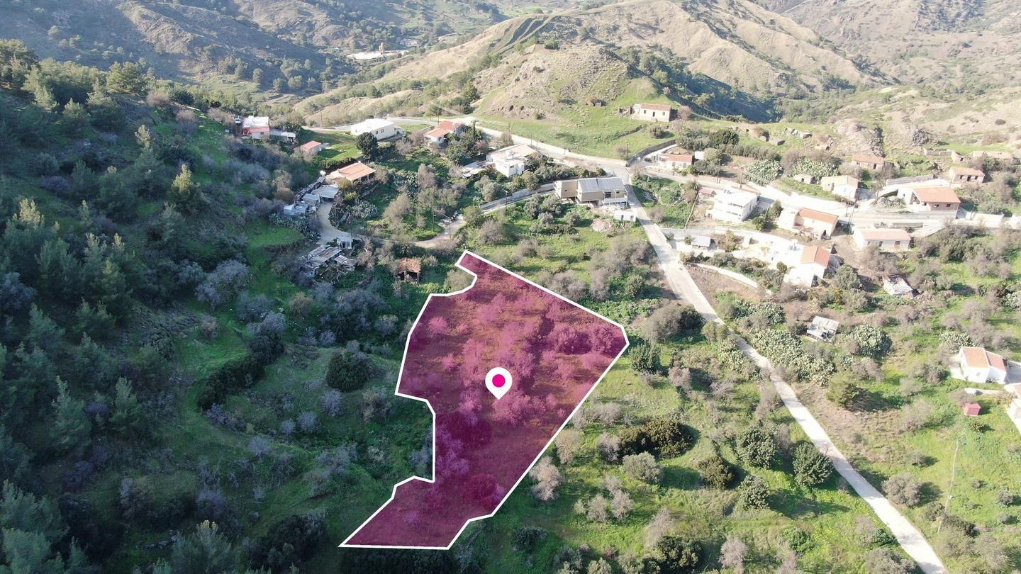 Residential field located in Pigenia, Nicosia photo 7