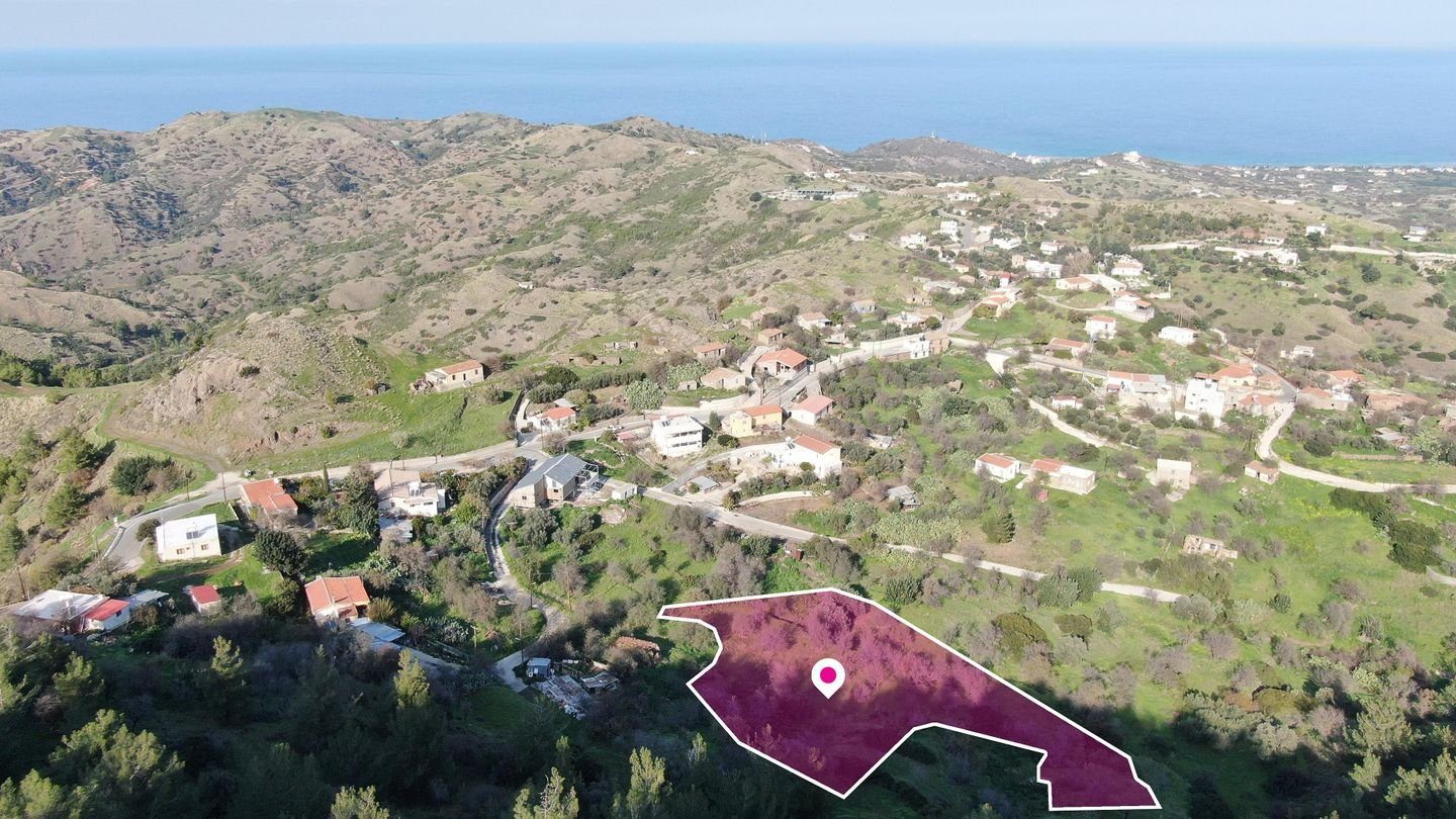 Residential field located in Pigenia, Nicosia photo 5