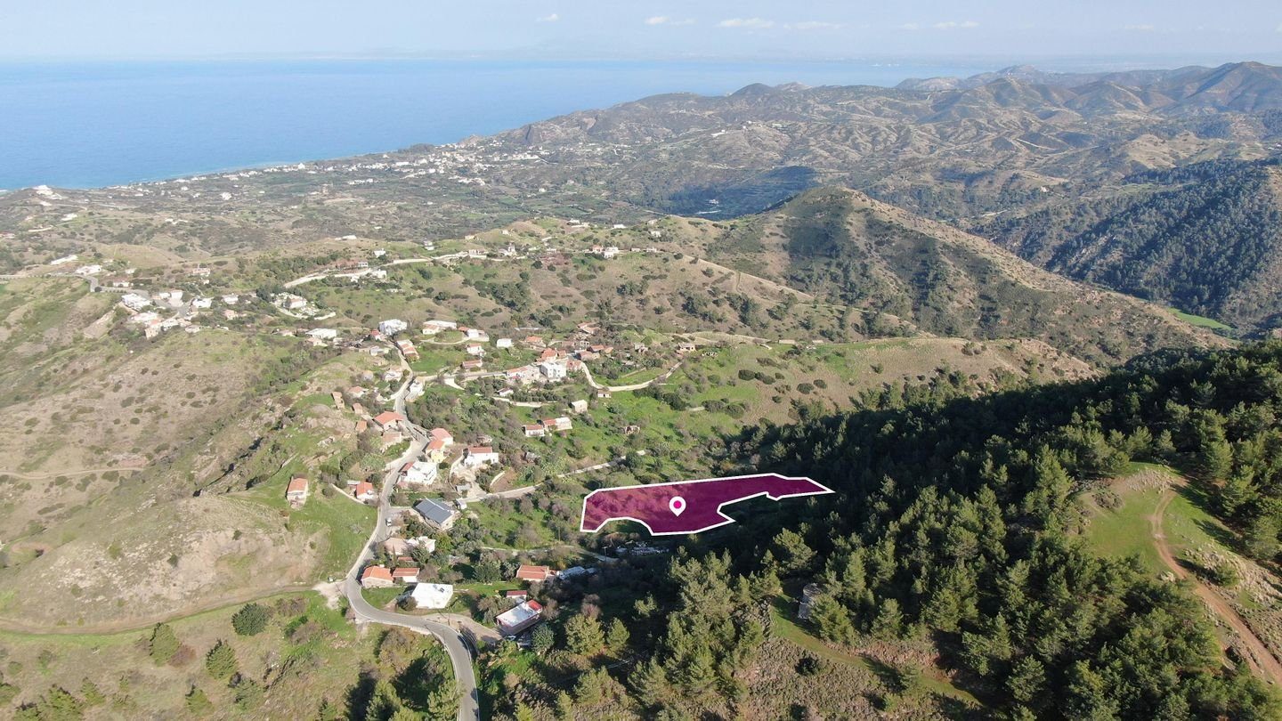Residential field located in Pigenia, Nicosia photo 6