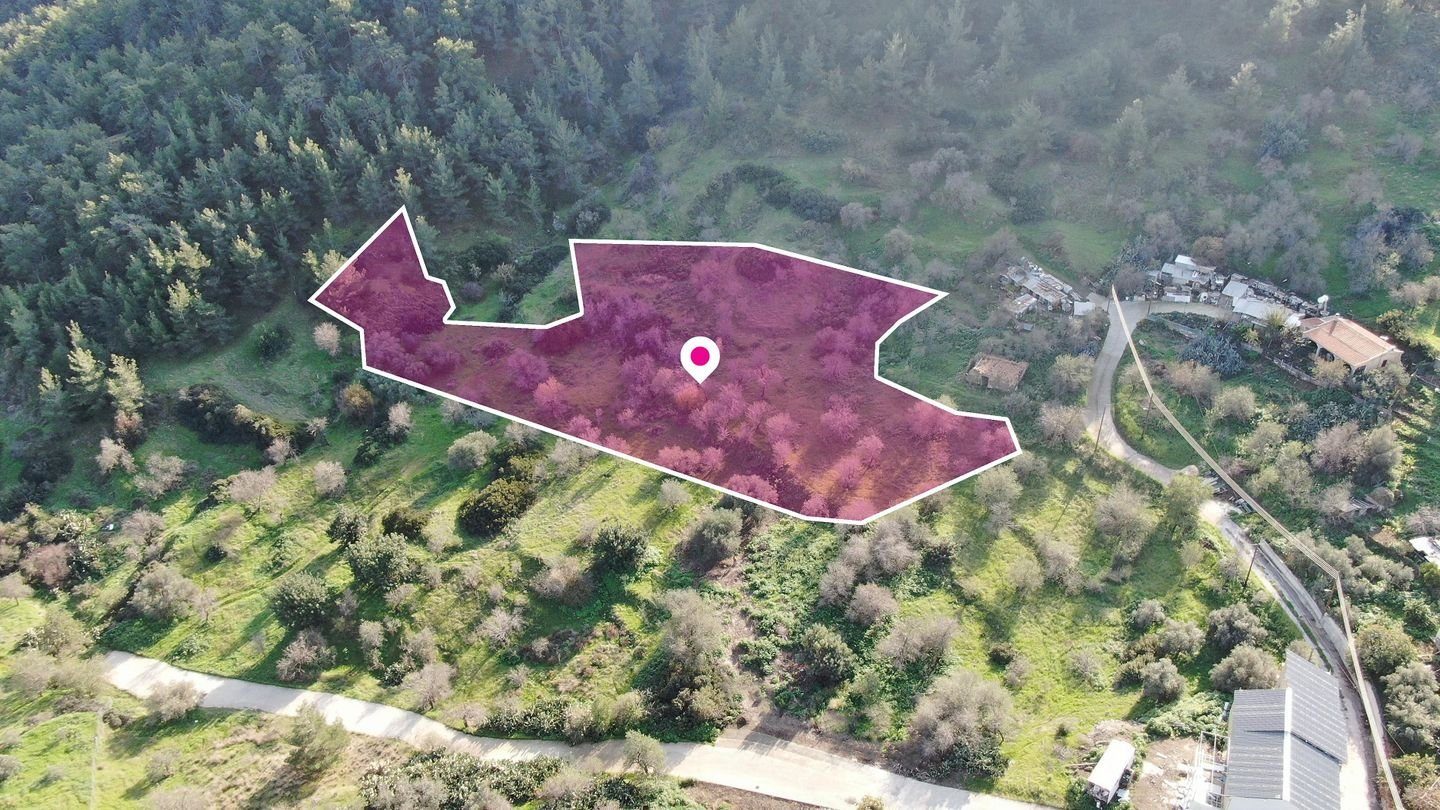Residential field located in Pigenia, Nicosia photo 3