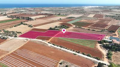 Touristic Field in Liopetri, Ammochostos thumbnail 1