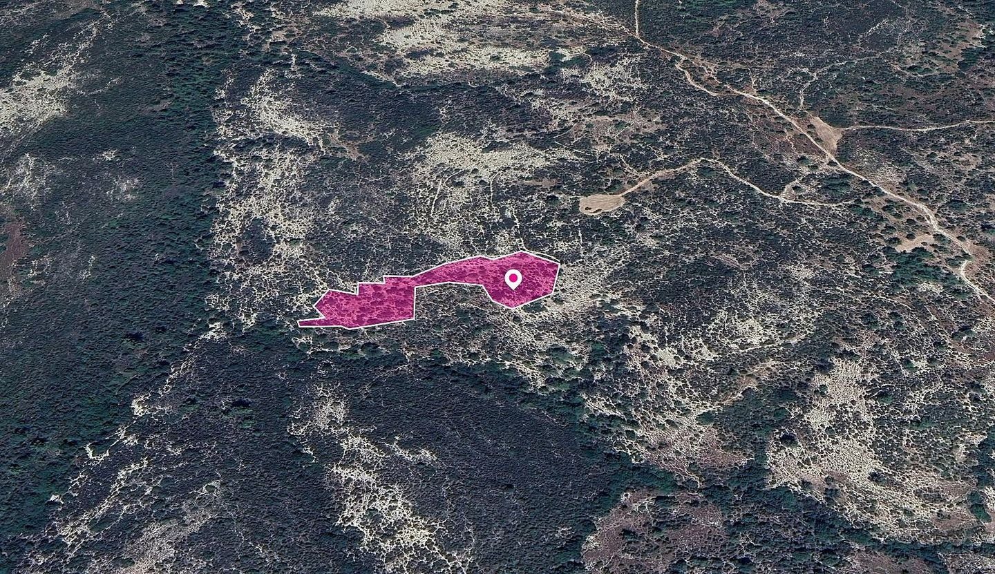 Agricultural Field in Anogyra, Limassol photo 1
