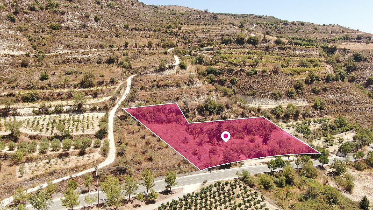 Residential Field in Praitori, Paphos photo 3
