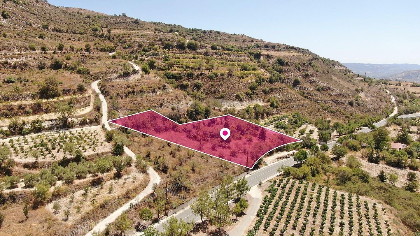 Residential Field in Praitori, Paphos photo 2