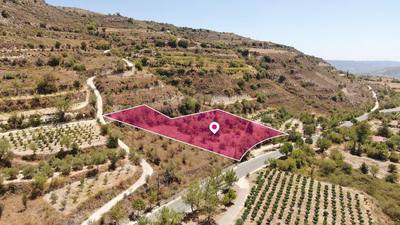 Residential Field in Praitori, Paphos thumbnail 2