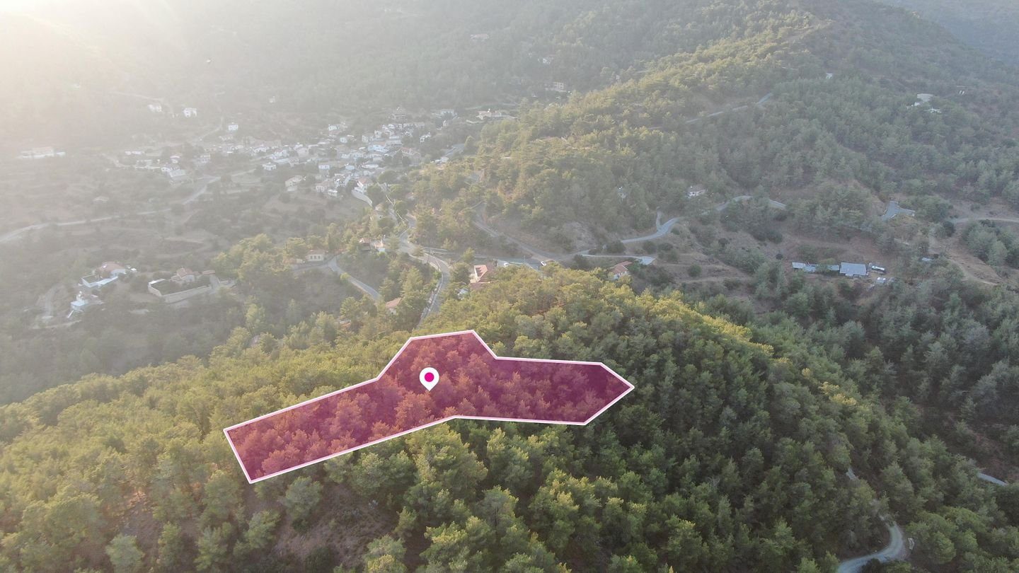 (Share) Residential field in Vavatsinia in Larnaca photo 1