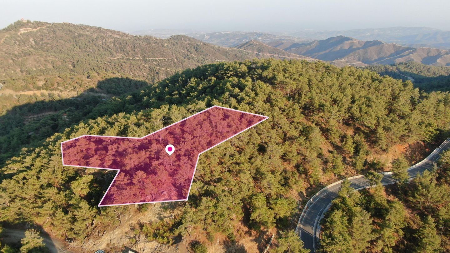 (Share) Residential field in Vavatsinia in Larnaca photo 3