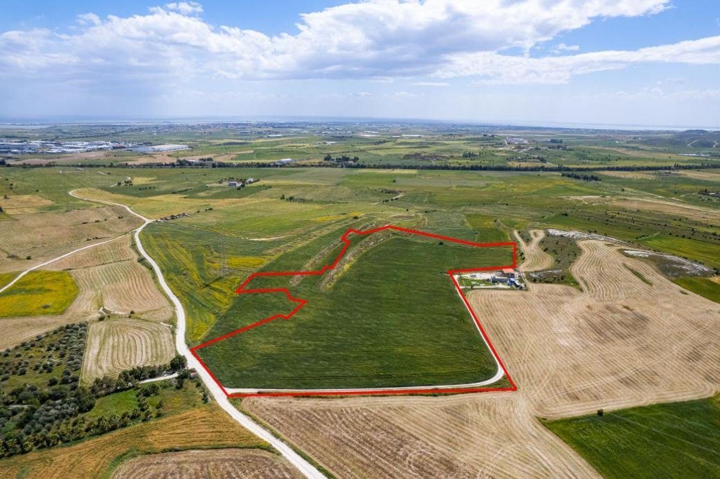 Agricultural field in Kalo Chorio, Larnaca photo 1