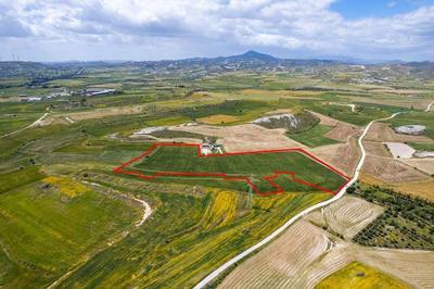 Agricultural field in Kalo Chorio, Larnaca thumbnail 3